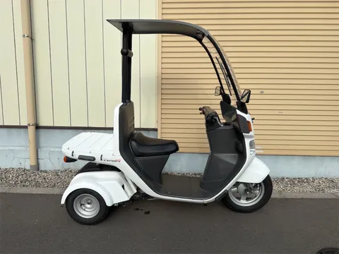 ジャイロキャノピー 白 左側面からの全体像 ルーフとフラットデッキ