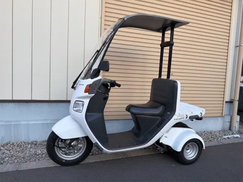 ジャイロキャノピー 左斜め前からの全体像 スクリーンとミラー