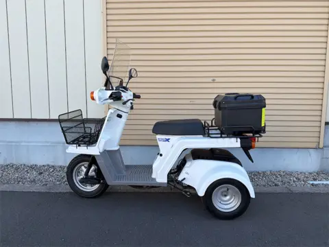 右側面からの全体像
